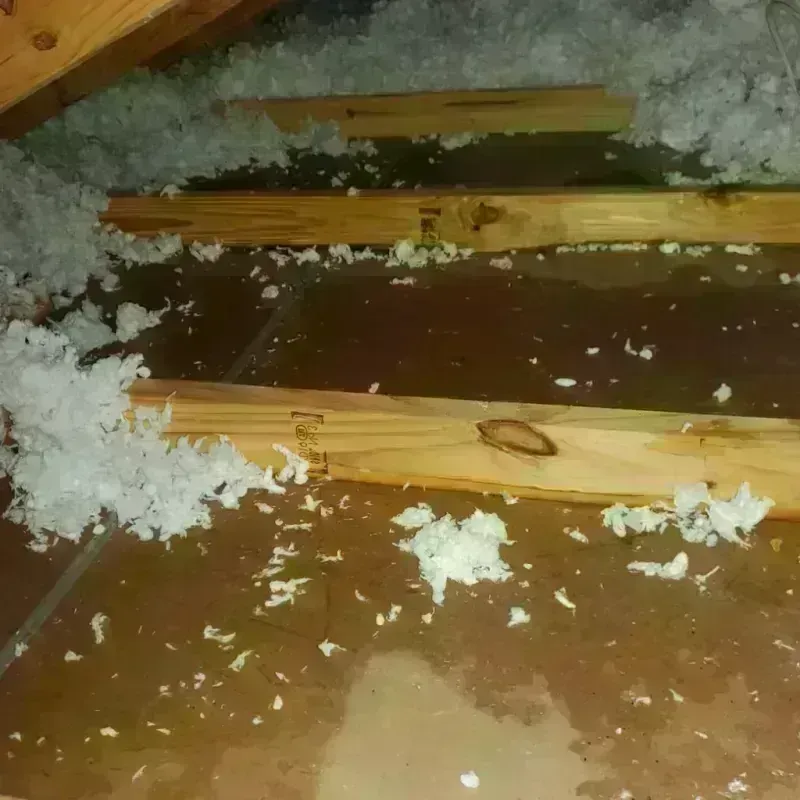 Attic Water Damage in Wenatchee, WA